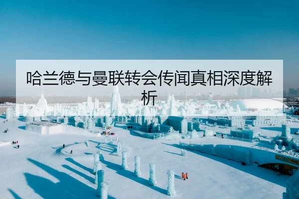 哈兰德与曼联转会传闻真相深度解析